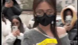 国外吃瓜爆料视频,一窥娱乐圈幕后真相